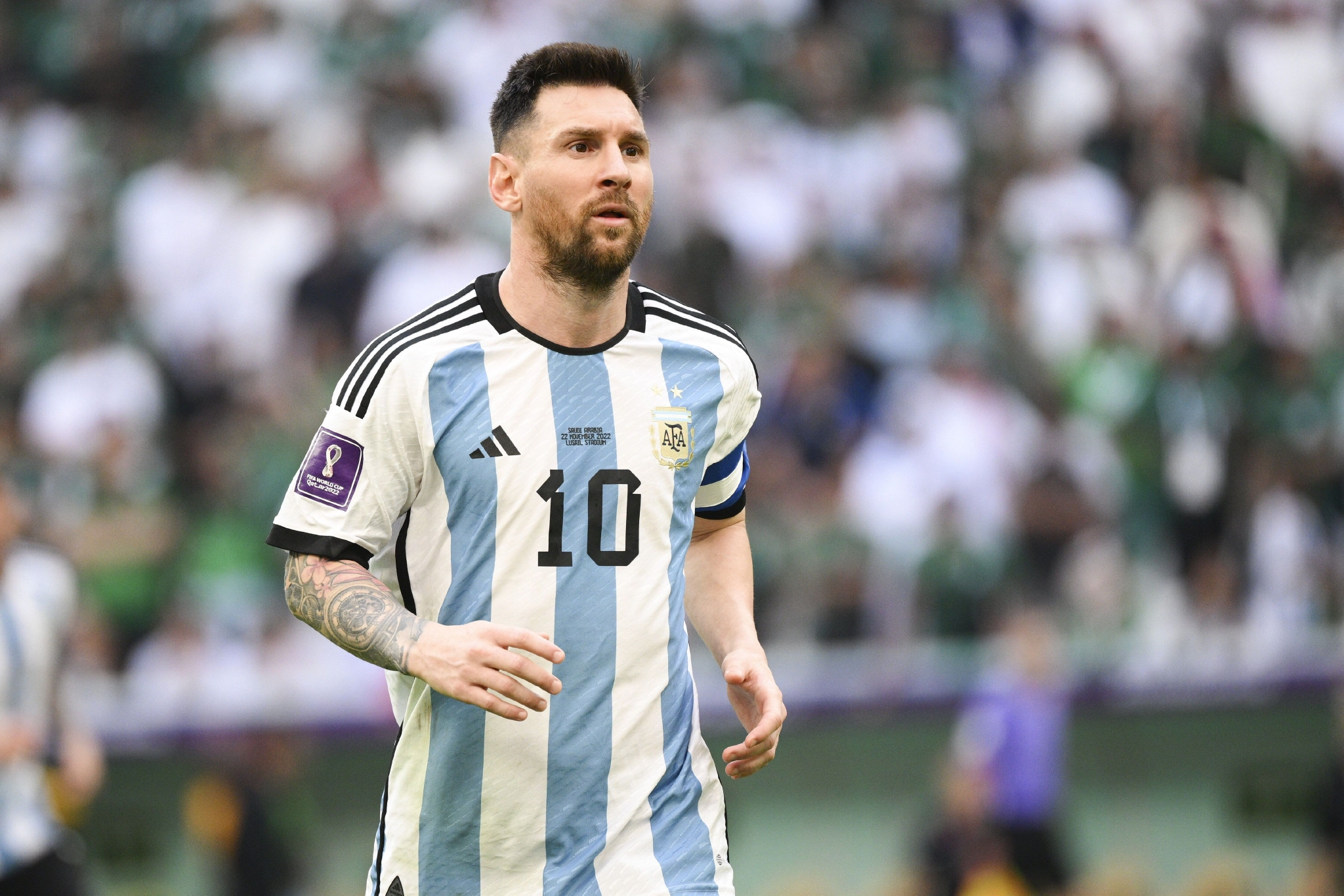 猫道之间切 猫道之间切