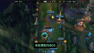 案例观察